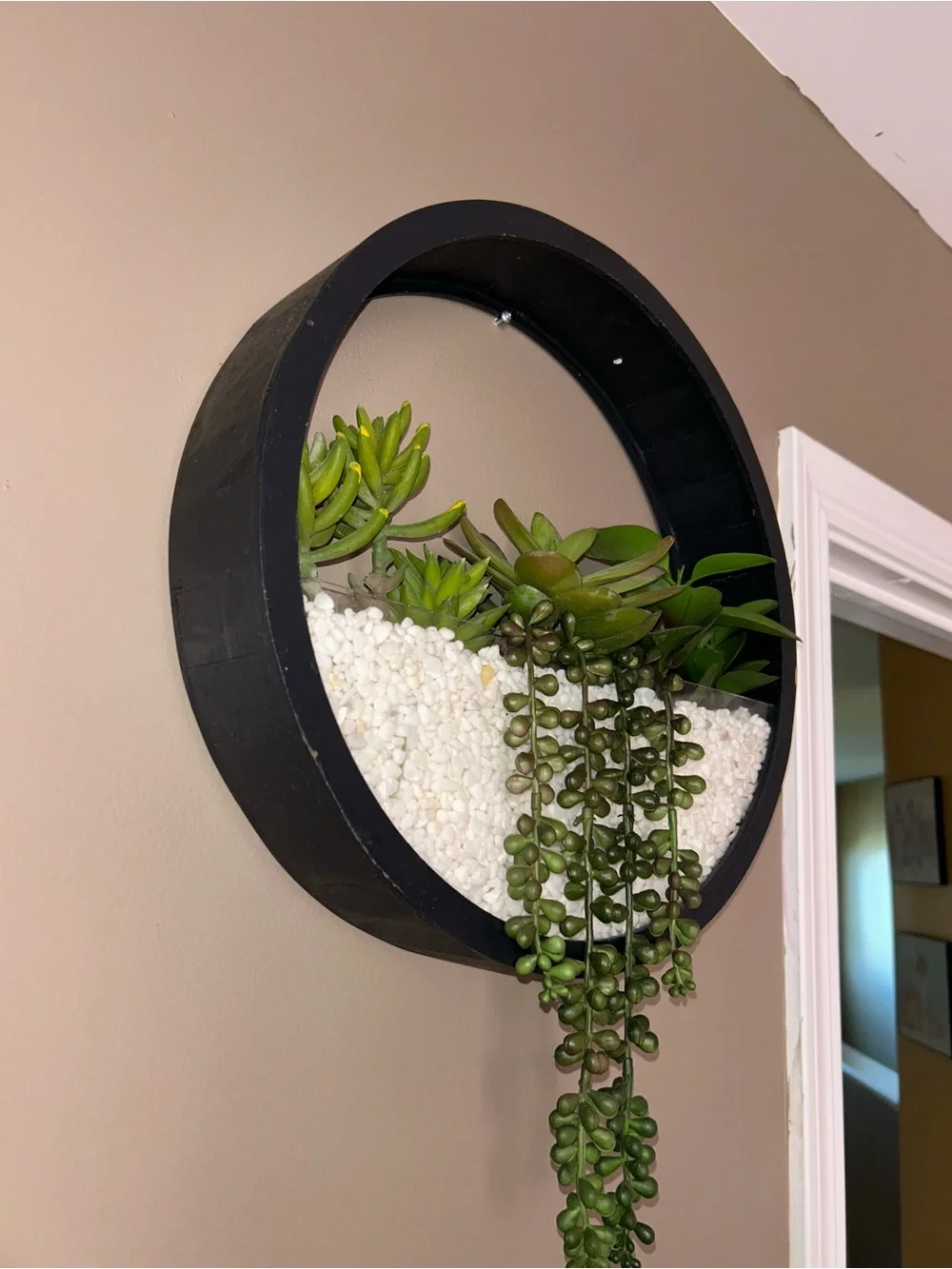 Black Circular Wall Planter with Green Succulents- wall decor- 13in WIDTH- 14inH